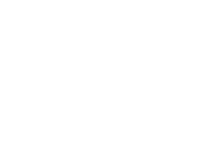 Plan dttte travail 1