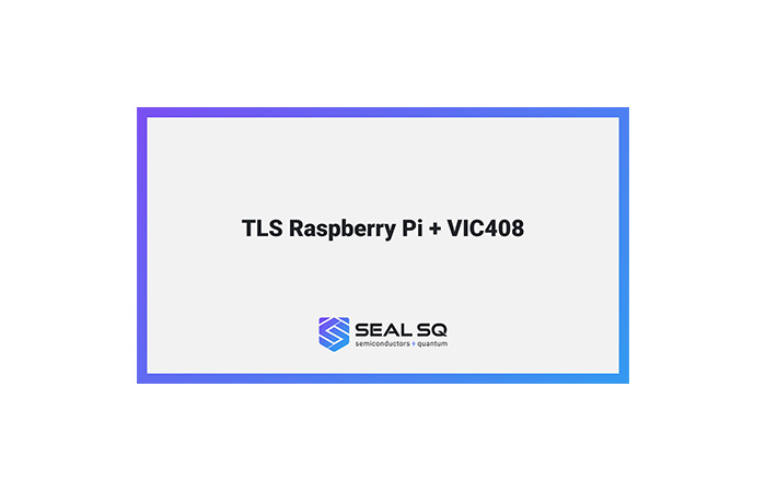 TLS Raspberry Pi + VIC408